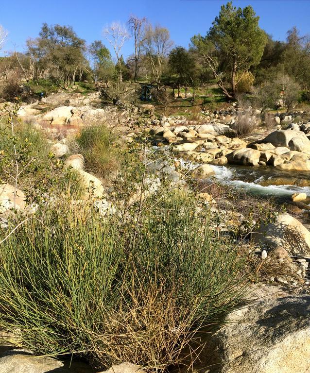 Kaweah Chakra Resort Three Rivers Chambre photo