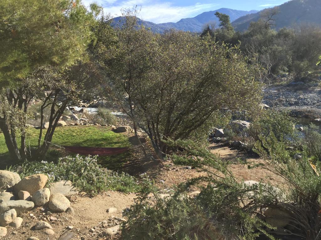Kaweah Chakra Resort Three Rivers Chambre photo